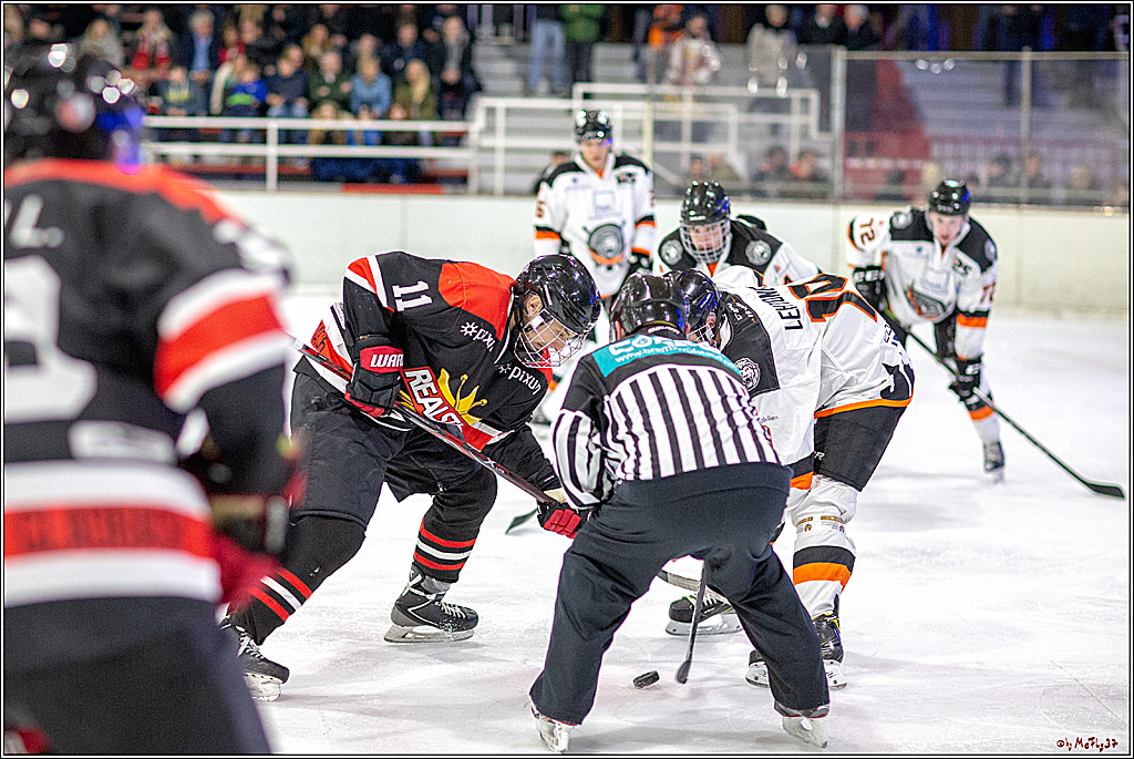 Eissportverein Bergisch Gladbach e.V.–RealStars - Frankfurter Loewen 7-2, 30.03.2019